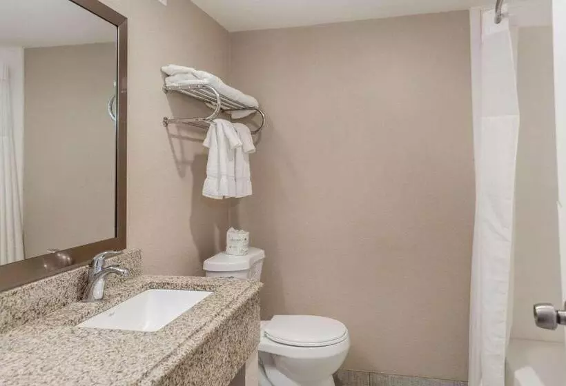 Отель Pocono Inn & Banquet   Stroudsburg