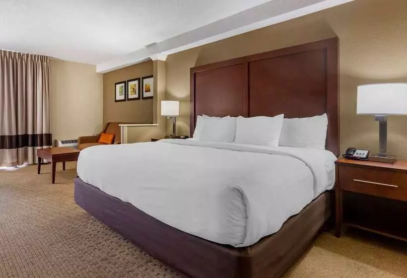 ホテル Comfort Inn & Suites Near Danville Mall