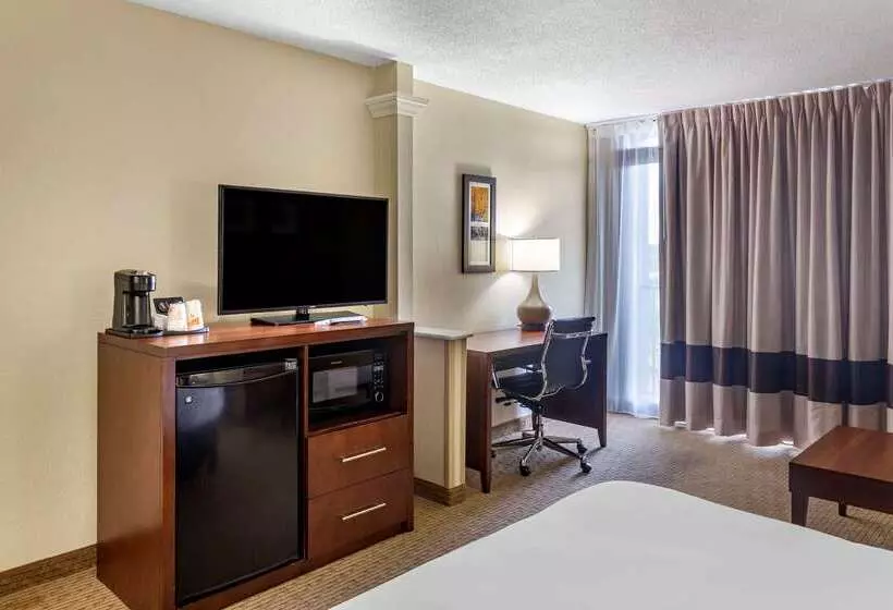 ホテル Comfort Inn & Suites Near Danville Mall