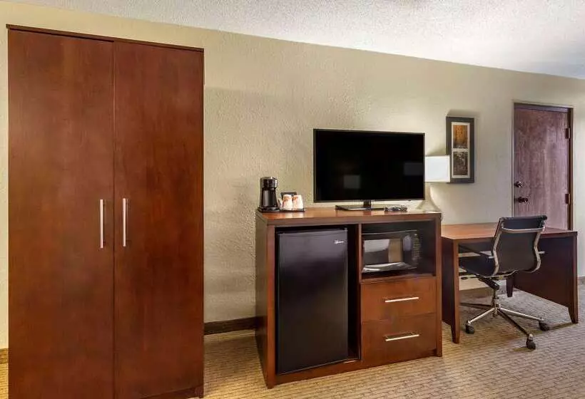 ホテル Comfort Inn & Suites Near Danville Mall