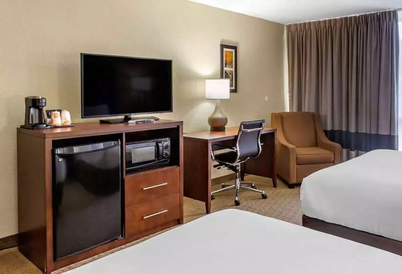 ホテル Comfort Inn & Suites Near Danville Mall