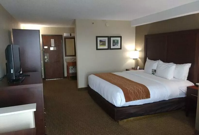 ホテル Comfort Inn & Suites Near Danville Mall