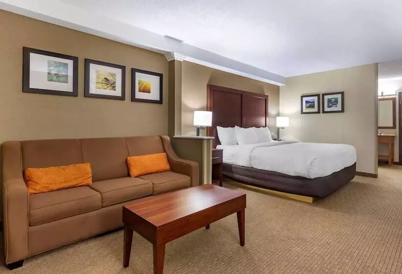 ホテル Comfort Inn & Suites Near Danville Mall