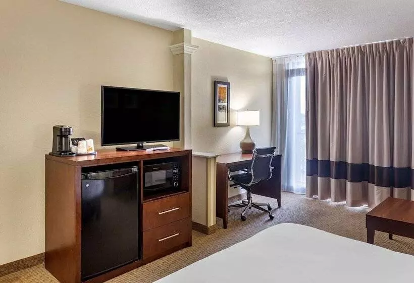 ホテル Comfort Inn & Suites Near Danville Mall