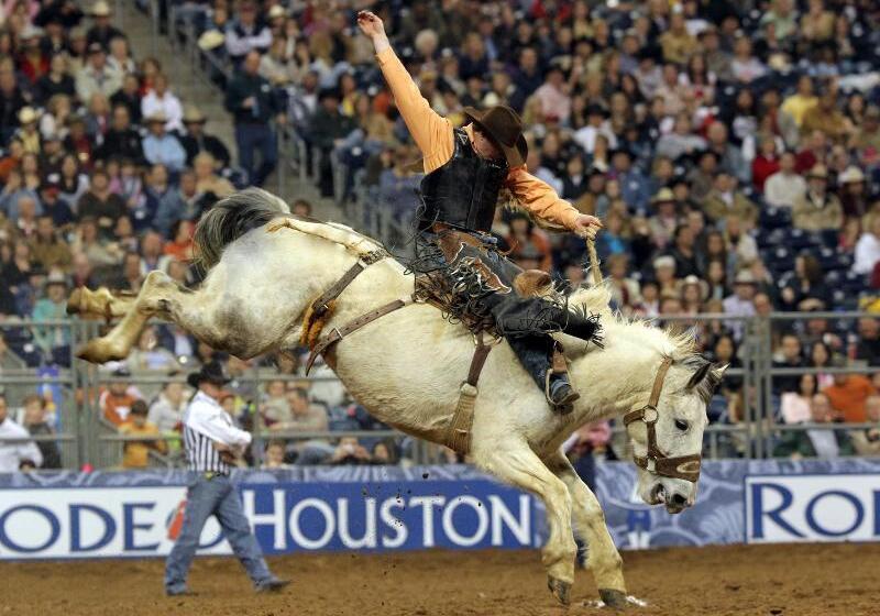 هتل Crowne Plaza Houston Med Ctr Galleria Area, An Ihg