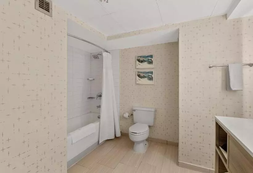 בית מלון כפרי Crowne Plaza Houston Med Ctr Galleria Area, An Ihg