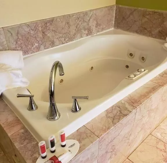 ホテル Days Inn By Wyndham Asheville/mall