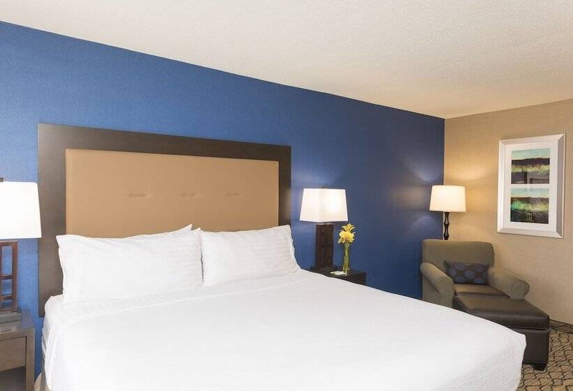 酒店 Holiday Inn Chicago Elk Grove, An Ihg