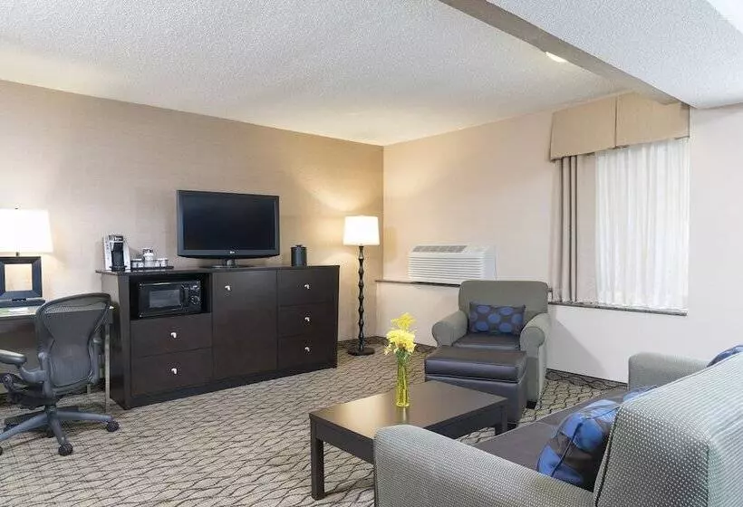 Szálloda Holiday Inn Chicago   Elk Grove, An Ihg