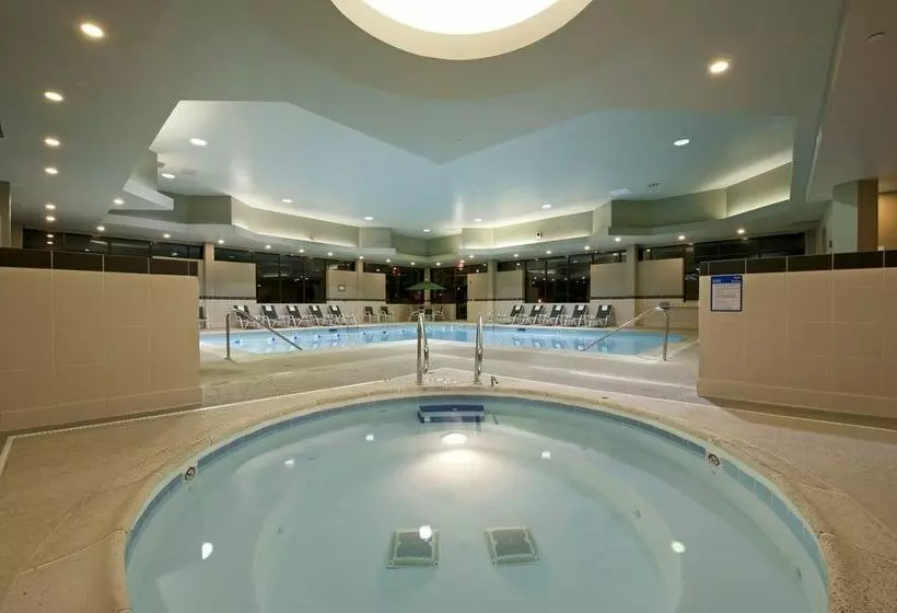 فندق Holiday Inn Itasca Woodfield Area