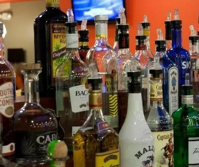 فندق Holiday Inn Itasca Woodfield Area