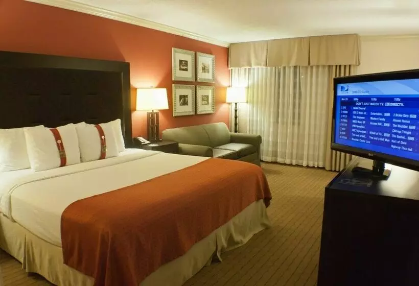 فندق Holiday Inn Itasca Woodfield Area