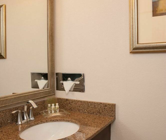 בית מלון כפרי Holiday Inn Itasca  Woodfield Area