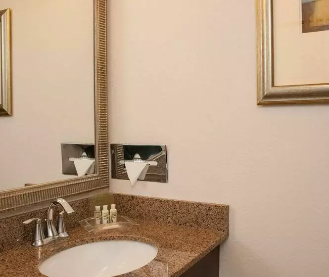 فندق Holiday Inn Itasca Woodfield Area