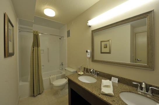 בית מלון כפרי Holiday Inn Itasca  Woodfield Area