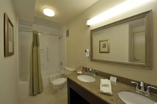 فندق Holiday Inn Itasca Woodfield Area