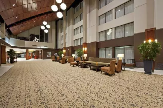 فندق Holiday Inn Itasca Woodfield Area