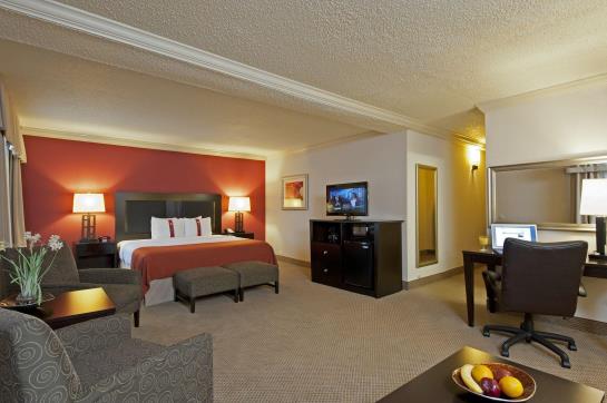 בית מלון כפרי Holiday Inn Itasca  Woodfield Area