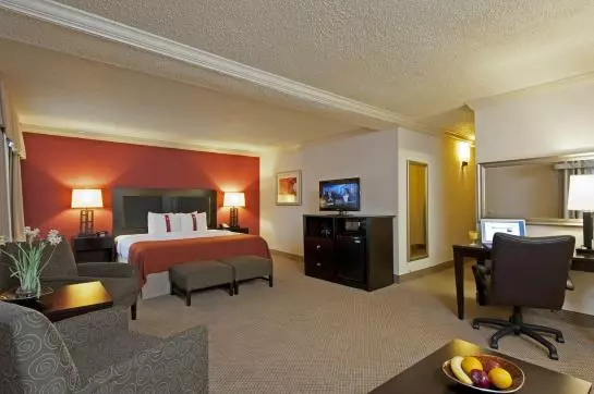 فندق Holiday Inn Itasca Woodfield Area