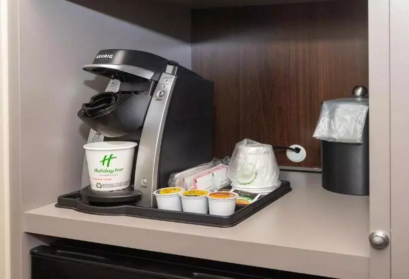 Otel Holiday Inn Cleveland South Independence, An Ihg