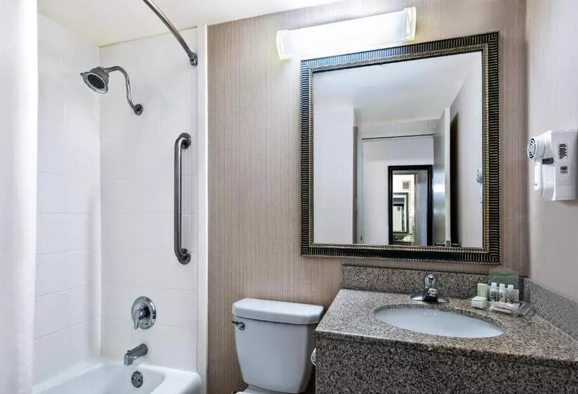 Holiday Inn Hotel Dallas Dfw Airport West, An Ihg