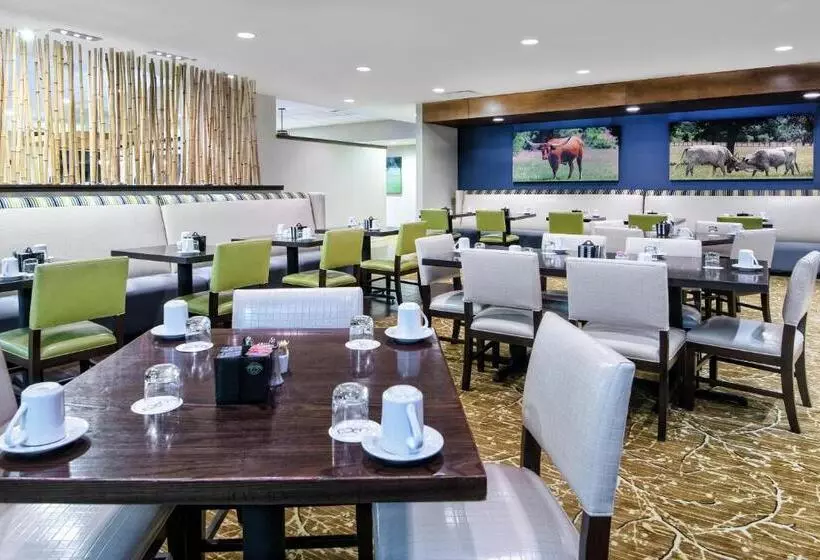 Holiday Inn Hotel Dallas Dfw Airport West, An Ihg