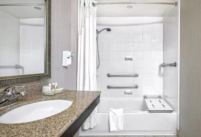 Holiday Inn Hotel Dallas Dfw Airport West, An Ihg