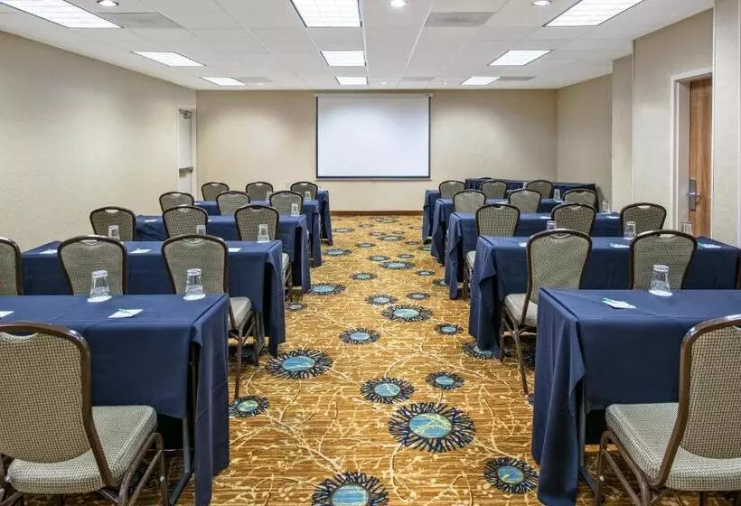 Holiday Inn Hotel Dallas Dfw Airport West, An Ihg