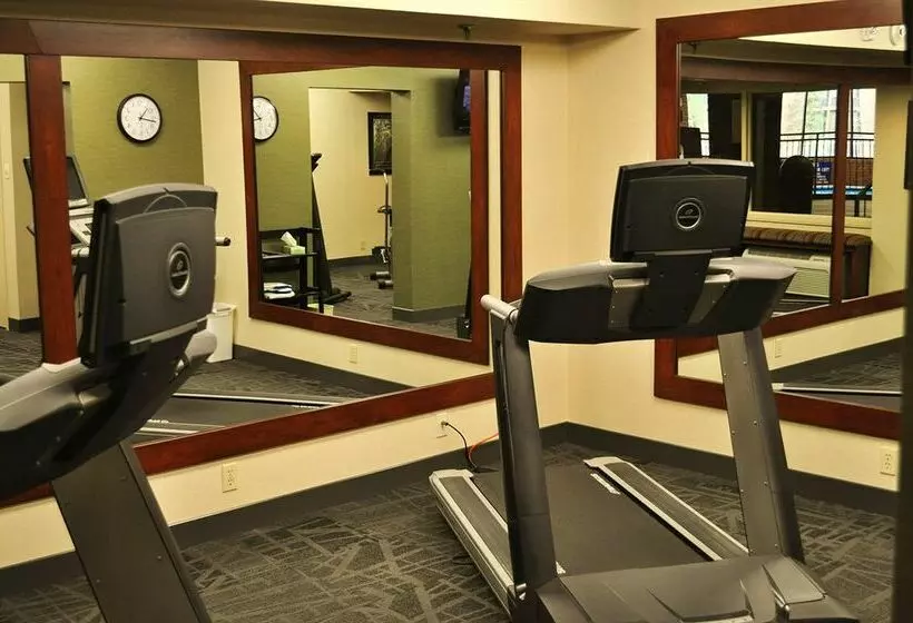 فندق Holiday Inn Saint Louis - South (I-55)