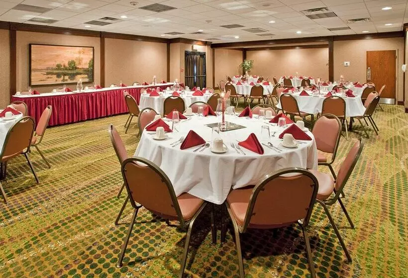 فندق Holiday Inn Saint Louis - South (I-55)