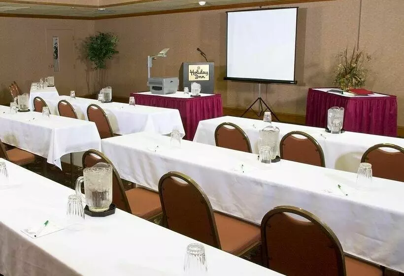 فندق Holiday Inn Saint Louis - South (I-55)