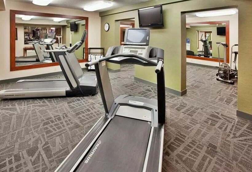 فندق Holiday Inn Saint Louis - South (I-55)