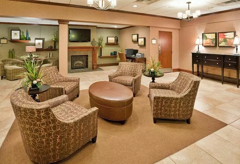 فندق Holiday Inn Saint Louis - South (I-55)