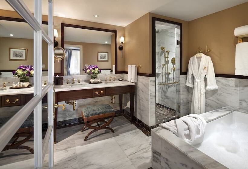 酒店 Plaza Athenee