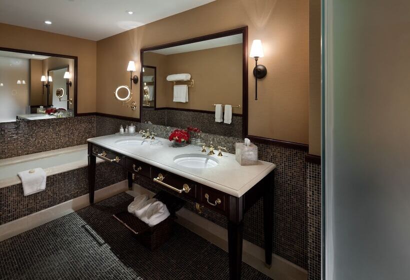 酒店 Plaza Athenee