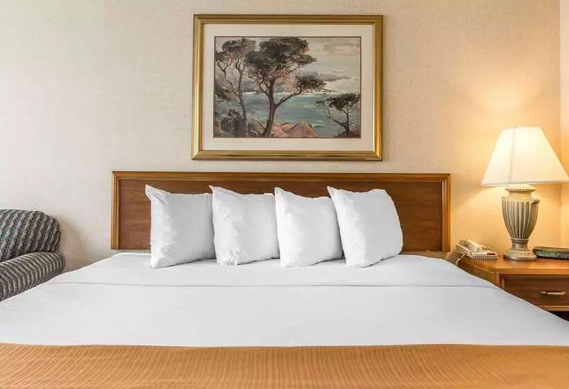 酒店 Quality Inn And Conference Center