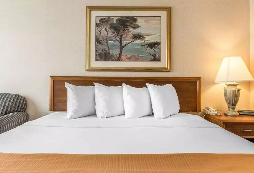 酒店 Quality Inn And Conference Center