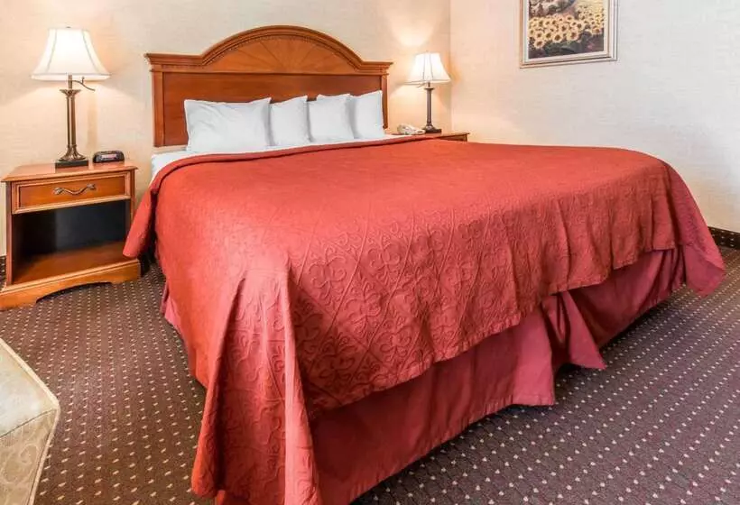 فندق Quality Inn & Suites Conference Center Across From Casino