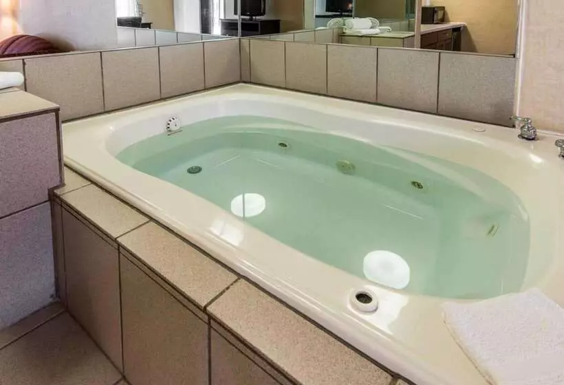 فندق Quality Inn & Suites Conference Center Across From Casino