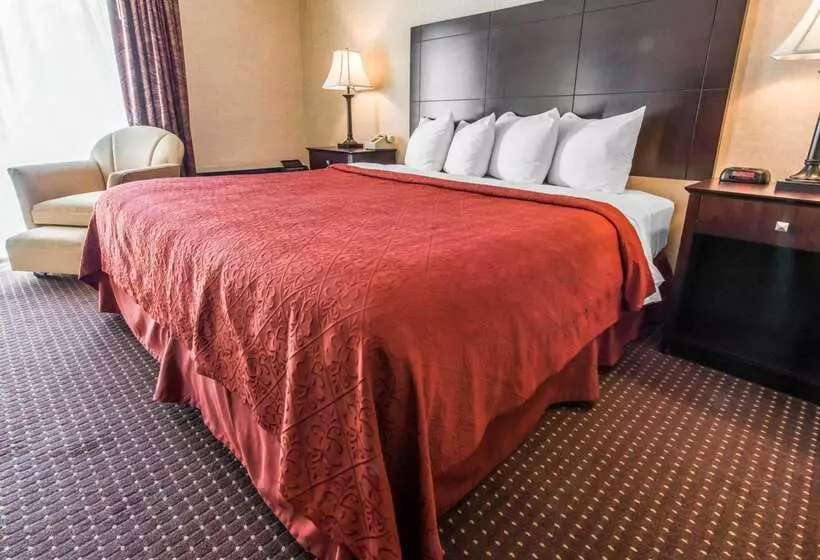 فندق Quality Inn & Suites Conference Center Across From Casino