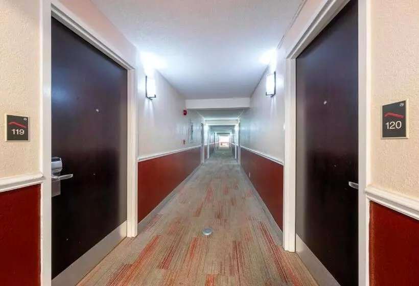 בית מלון כפרי Red Roof Inn Lumberton