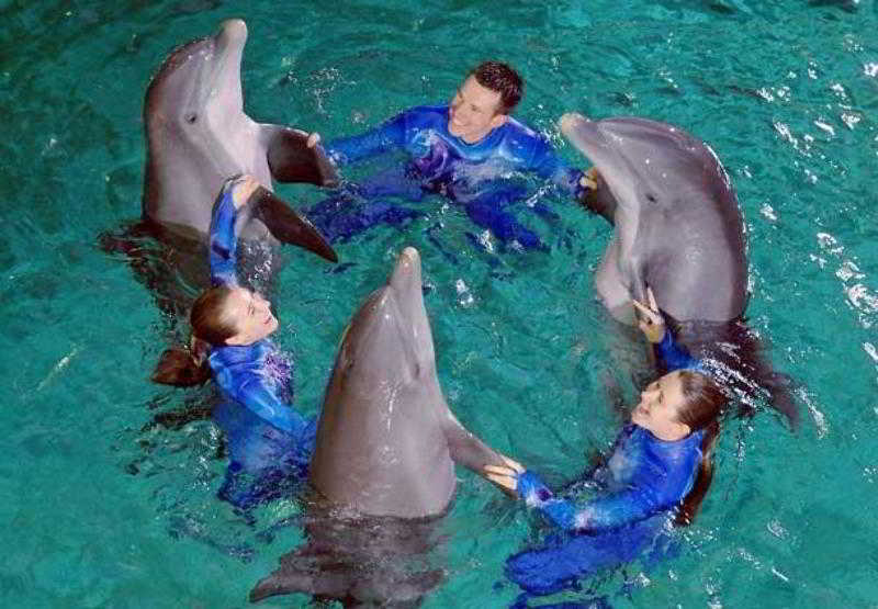 هتل Atlanta Marriott Suites Midtown