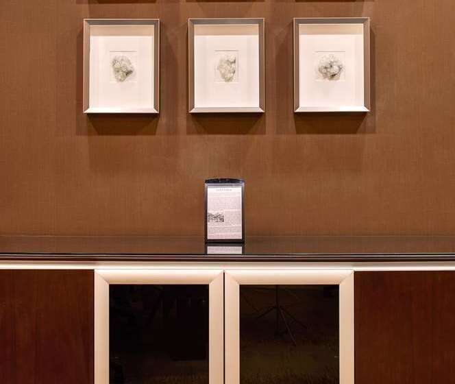 فندق Hilton Denver City Center