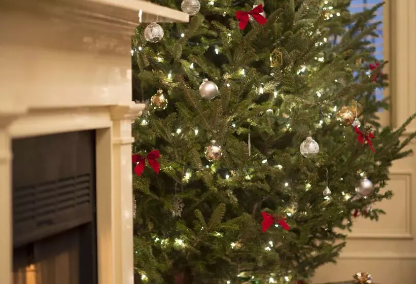 ホテル Kings Courtyard Inn