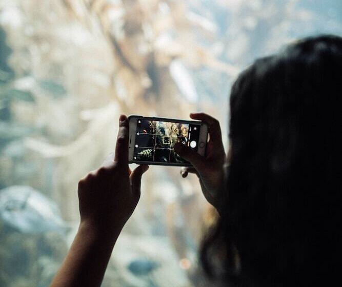 Отель La Jolla Beach And Tennis Club