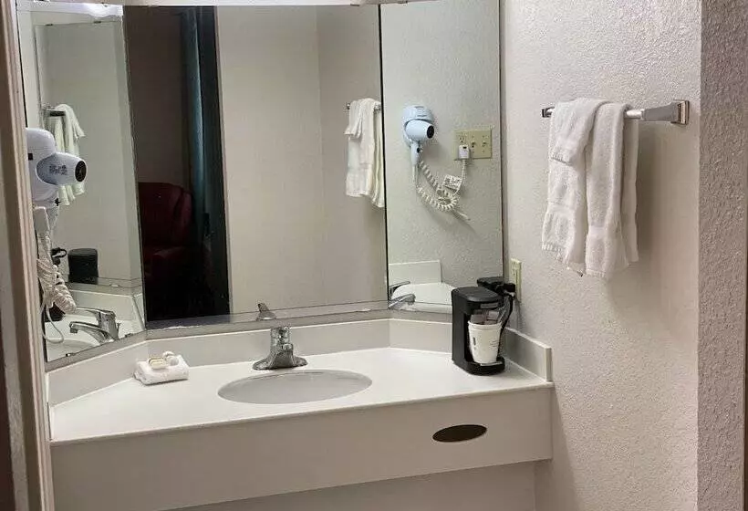 Hotel La Quinta Inn By Wyndham Tyler