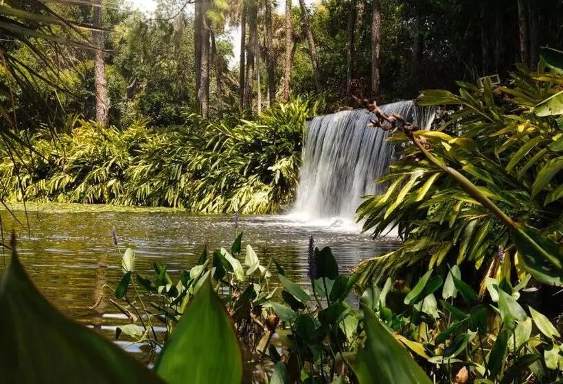 Mission Resort And Club