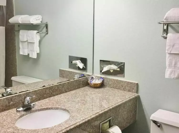 酒店 Americas Best Value Inn