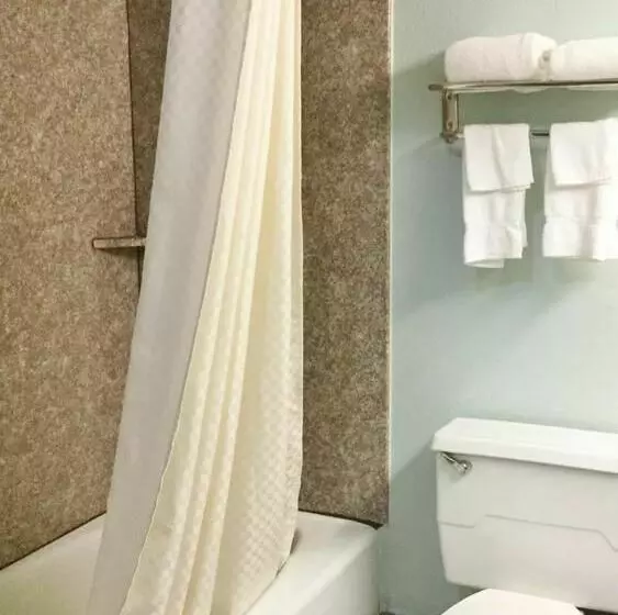 酒店 Americas Best Value Inn