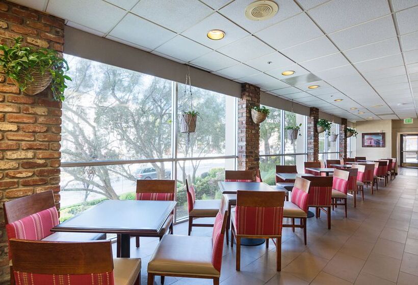 فندق Comfort Inn By The Bay